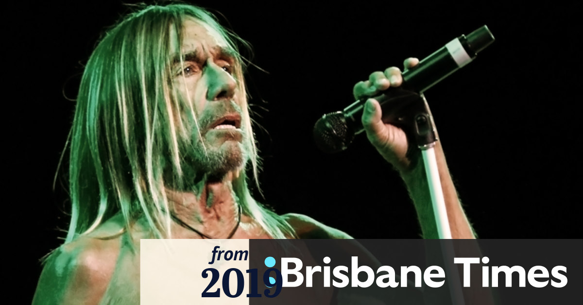 Iggy Pop Review Legendary Livewire Energy Undiminished In Energetic 